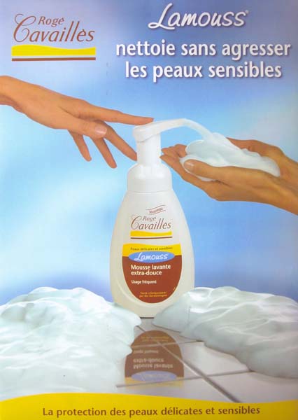 roger cavailles web